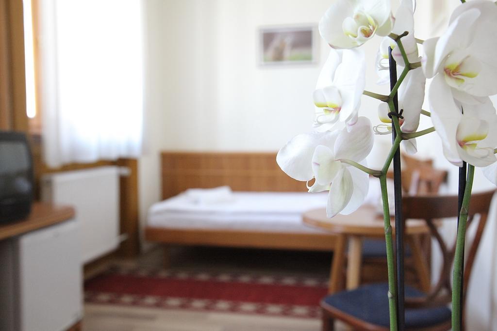 Hotel Corvinus Zalaszentgrot Room photo
